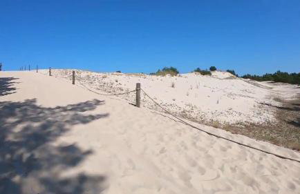 Słowińskie Widoki domki Flora, Fauna, noclegi Smołdziński Las - Foto 38