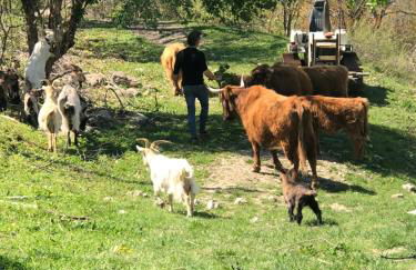 Agriturismo Il Covo del Solengo - Foto 64