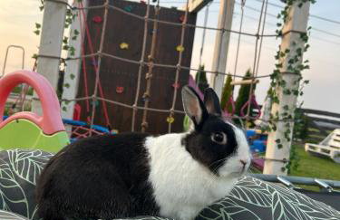 Domek KRAJNO ŚWIETA KATARZYNA - Foto 15