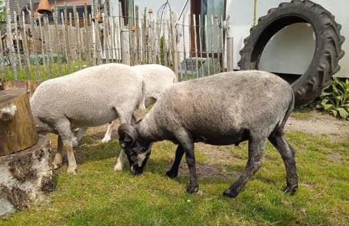 Ferienhaus mit Minibauernhof - Photo 39