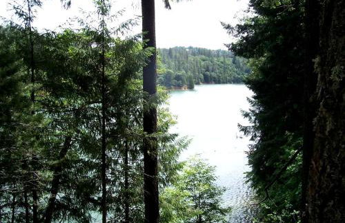 Stunning and Secluded Lakeside Getaway in the Grass Valley of California - Foto 18