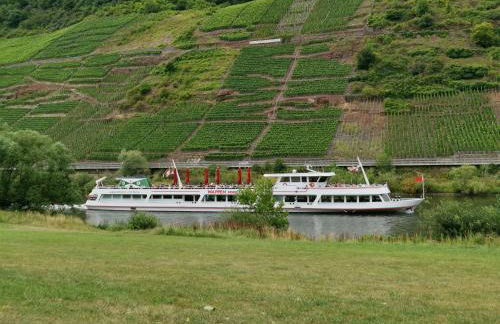 Ferienwohnung Moselblick - Photo 29