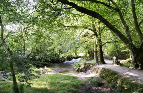 Trecarne Cottage - Foto 17