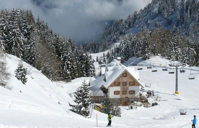 Baita Goles - Foto 8