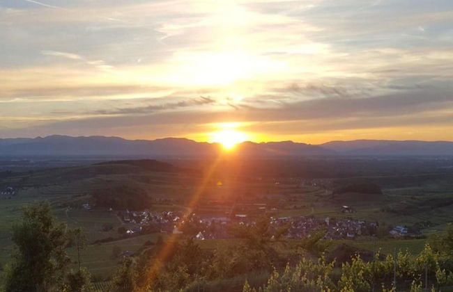 Apartment in Kleines Wiesental - Foto 28