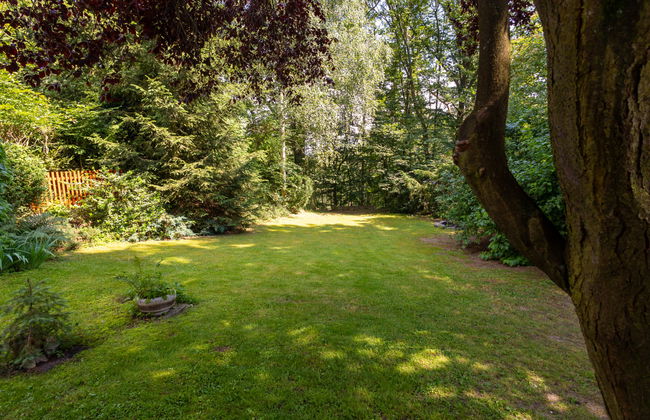 Jestřebice 8 - Foto 32