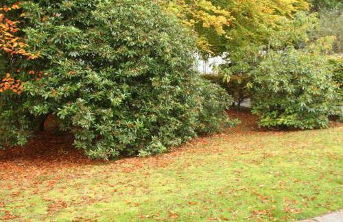 Glenfiddich - Foto 10