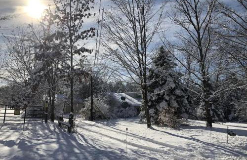 The Sunflower - Hot Tub Hideaway on 13 Wooded Acres - Fire Pit - Lake View - Near Keuka & Seneca Lake - Pet-Friendly - Foto 28