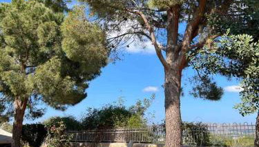 The Twin Pines Home - Foto 4, Garden