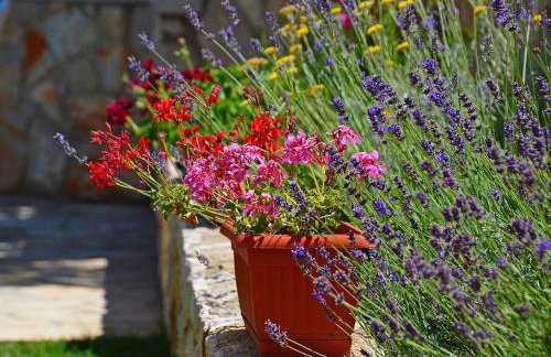 Apartment Villa Tara-2 by Interhome - Foto 21