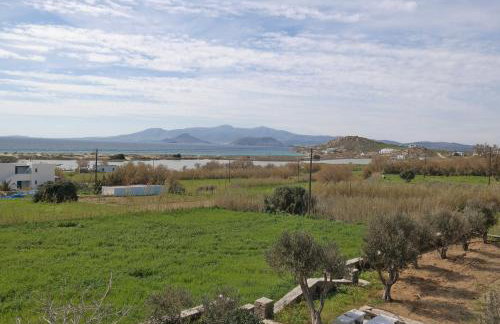 Dina's Diamond - Foto 13