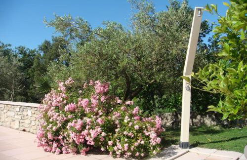 L’Olivier - Foto 21