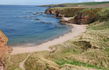 Wildflower Eco Lodges - Foto 61