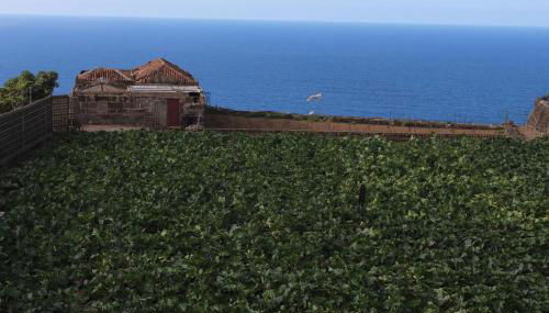 Cosy chalet with panoramic views in Icod de los Vinos - 70m² - Foto 2