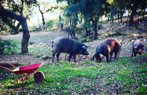 Casa rural Alicia - Foto 27