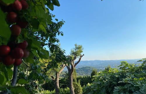 Dieu L'Amour - Molinard - Foto 32