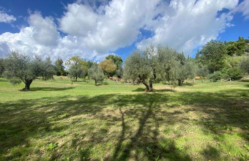 Rm-f734-ster43at - Pozzo Antico 10 - Foto 123