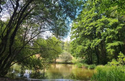 Le fournil à Mïette - Foto 40