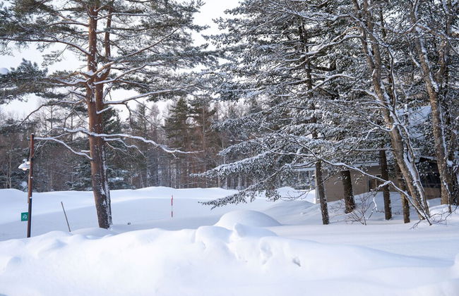 Cottage Alice - Foto 41