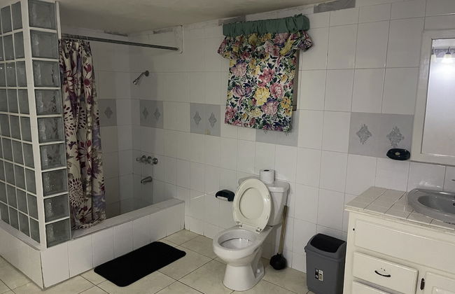 Pirate Palms - Foto 26