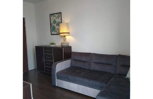 Sunny Penthouse with roof gardens overlooking the Warsaw Palace of Culture - Foto 16