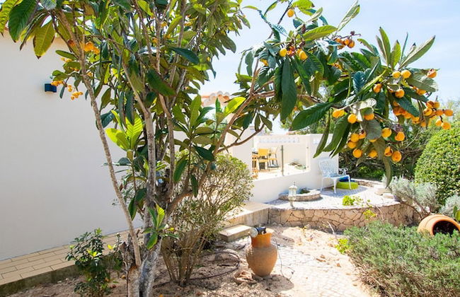 67 adm 3 Bedroom Villa Walking Distance to Carvo - Foto 47