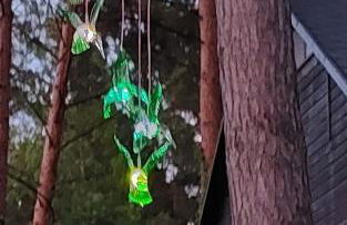 Waldbungalow mit WLAN und Terrasse in Seenähe-Hund willkommen - Foto 26