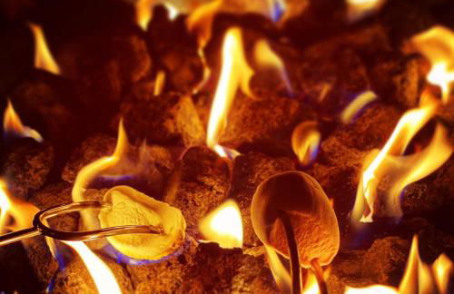 Wellbeing Orchard - Foto 12