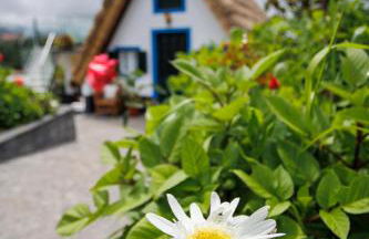 Casa da Mãe - Foto 36