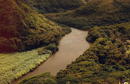 Banyan Harbor Resort - Foto 129