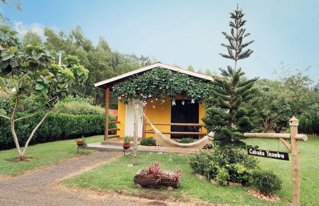 Cabaña Mi Querido Viejo - Foto 25