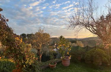 La Limonaia di Vanna - Foto 53