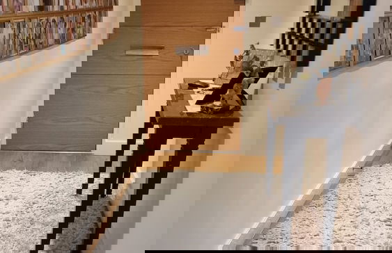 Beautiful and Modern Apartment in North London - Foto 10