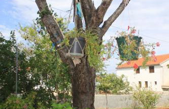 Apartments with parking space Ugljan - 8493 - Foto 9