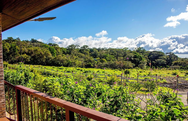 Almore Hotel - Foto 79