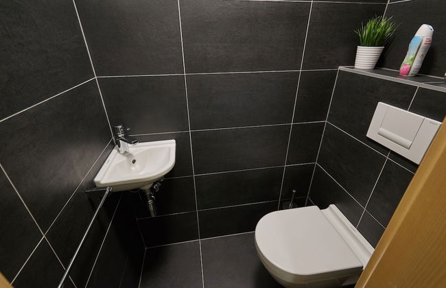 Residence Kovárna - Foto 41