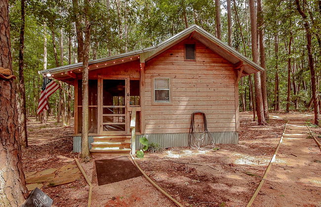 Cora's Cabins - Photo 9