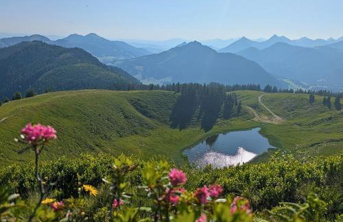 Vital Lodge Allgäu mit Schwimmbad, Sauna & Oberstaufen PLUS - Foto 21