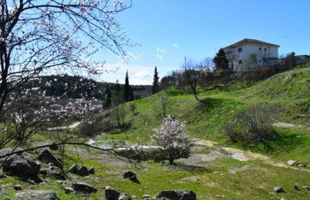 Oasis of CalmnessΕ - Foto 22