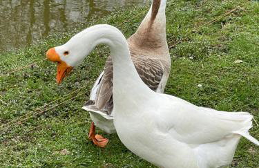 Agro na Wapniarni - Foto 25