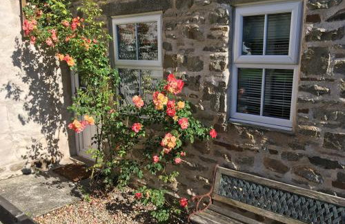 Holmlea Cottage - Photo 15