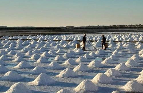 Fiore di Marte - Foto 25