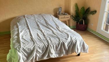 Gîte du petit niglo - Photo 3