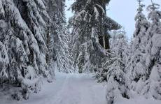 Ferienwohnung Mia - Foto 29