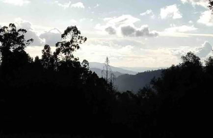 Pedacinho do Céu - Foto 42