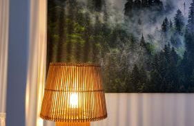 GlückAufBud Schwarzenberg WLAN Netflix Stellplatz - Foto 18