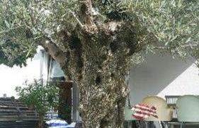 Ferienwohnung Familie Buchner - Foto 29