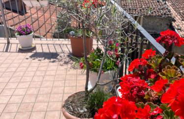 Piazzetta Del Forno - Monolocale - Foto 6