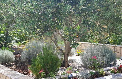 Andrea&Goran - Foto 23