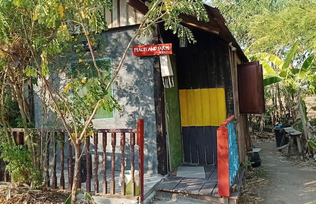 peaceland farmstay - Photo 53